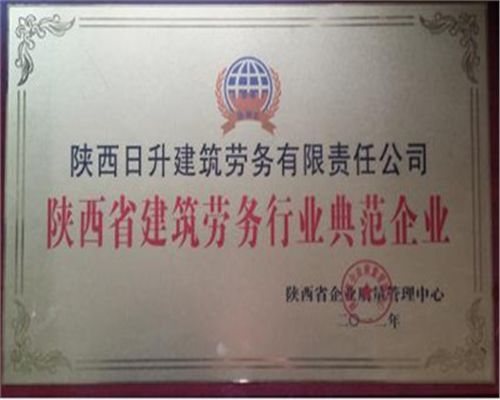 陜西省建筑勞務行業典范企業