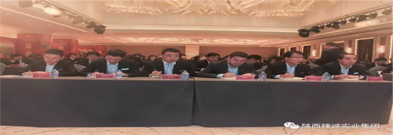 陜西臻誠實業集團職業化團隊內訓大會在藍溪國際酒店盛大召開