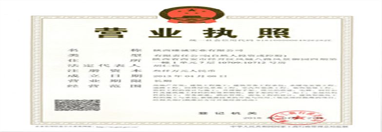 陜西臻誠實業集團有限公司營業執照