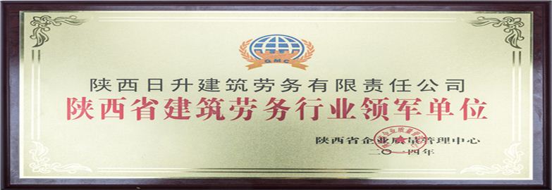 陜西省建筑勞務行業領軍單位