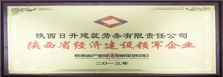 陜西省經濟建設領軍企業