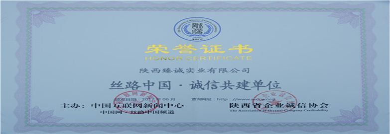 陜西臻誠實業集團有限公司榮譽證書