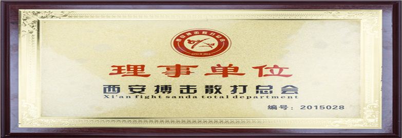 西安搏擊散打總會理事單位/突出貢獻獎