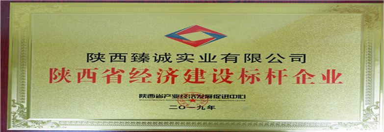 陜西臻誠實業集團有限公司五星級誠信單位